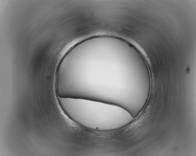 X0000090721245200707201007