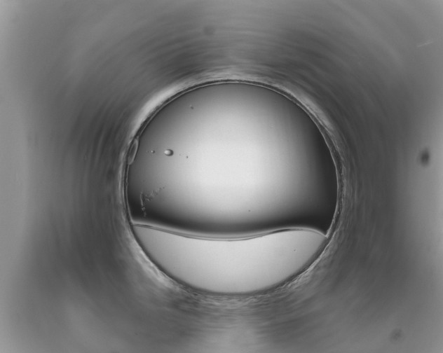 X0000090721246200707201007