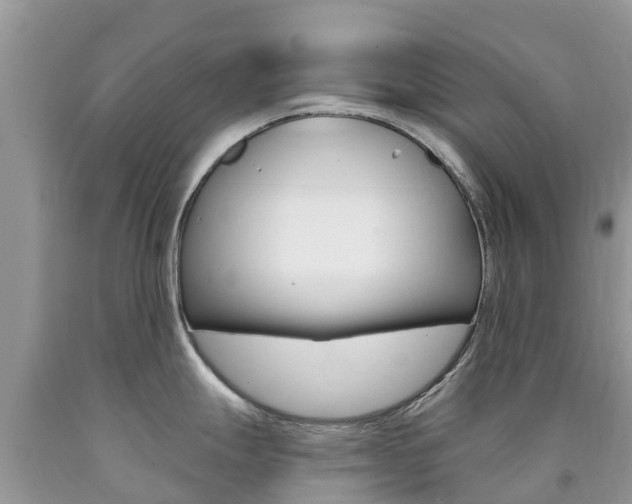 X0000090721247200707201007
