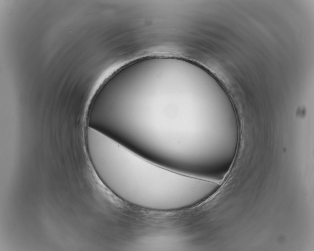 X0000090721248200707201007