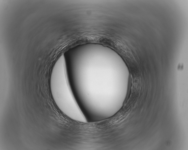 X0000090721249200707201006