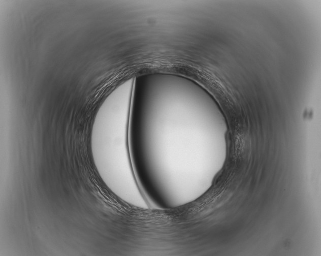 X0000090721250200707201006