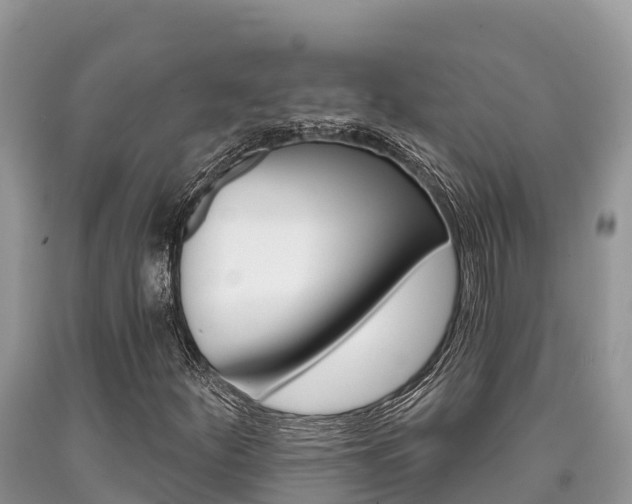 X0000090721252200707201006
