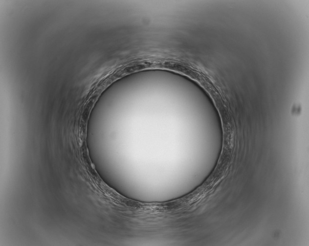 X0000090721253200707201006
