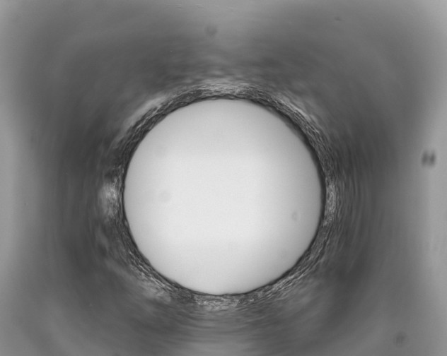 X0000090721254200707201006