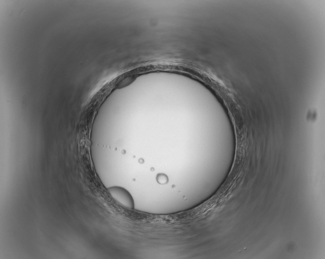 X0000090721255200707201006