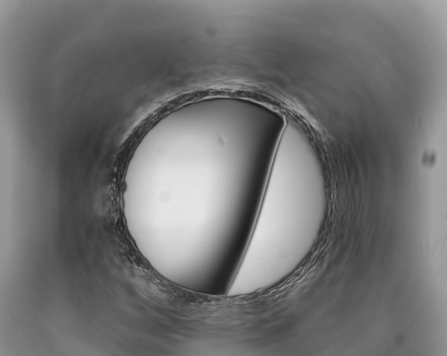 X0000090721256200707201006