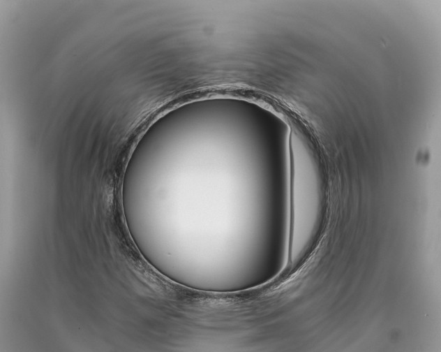 X0000090721257200707201006