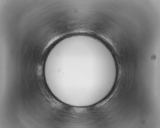 X0000090721258200707201006