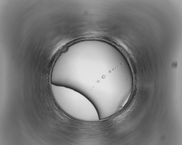 X0000090721259200707201006