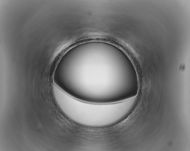 X0000090721261200707201006