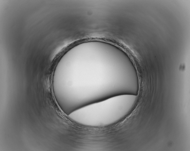X0000090721262200707201006