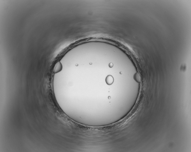 X0000090721263200707201006