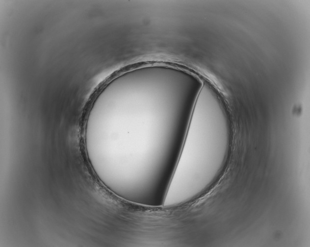 X0000090721264200707201006
