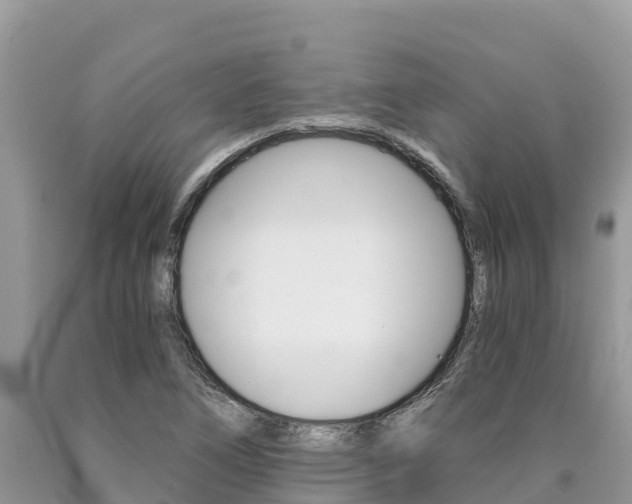 X0000090721266200707201006