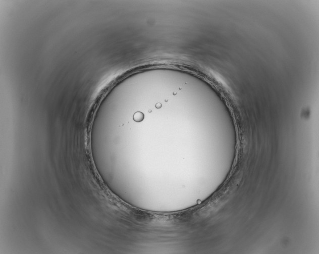 X0000090721267200707201006