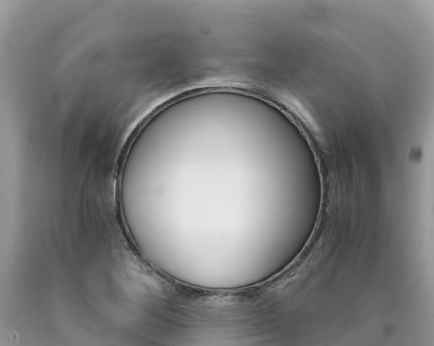 X0000090721268200707201006