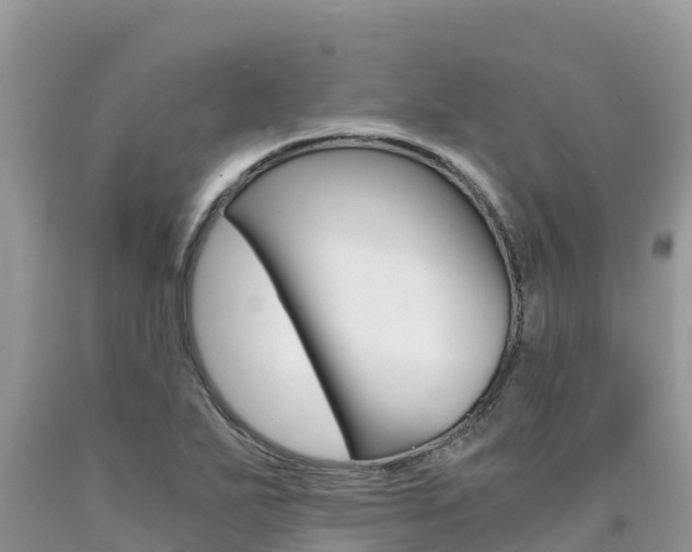 X0000090721271200707201006