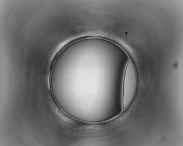 X0000090721272200707201006