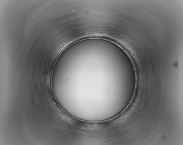 X0000090721273200707201006