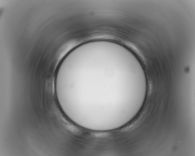 X0000090721274200707201006