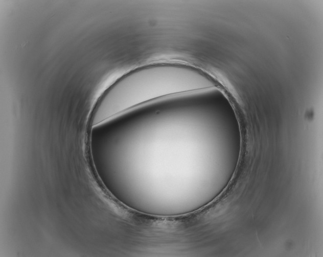 X0000090721277200707201006