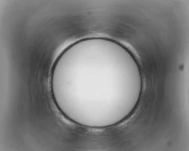 X0000090721278200707201006