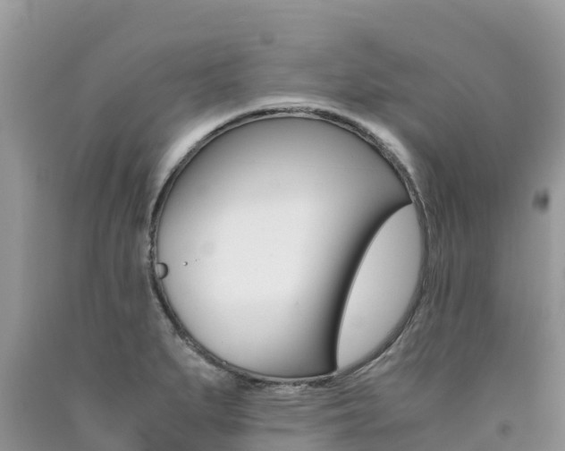 X0000090721279200707201006