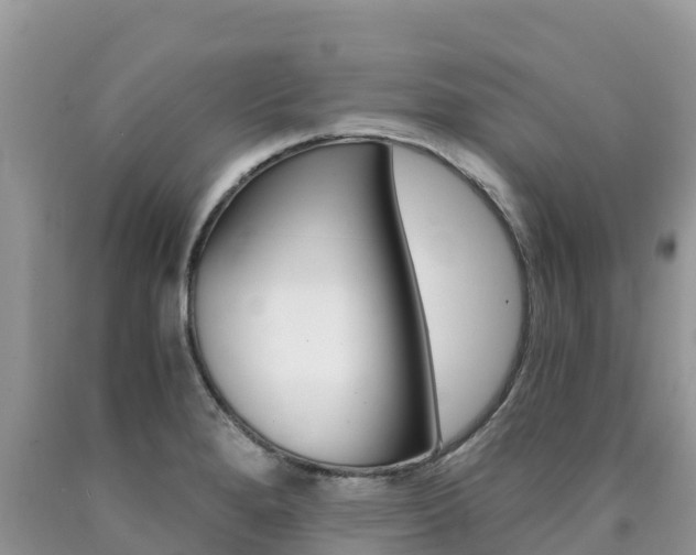 X0000090721280200707201006