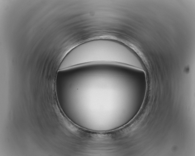 X0000090721281200707201005