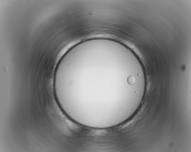 X0000090721282200707201005