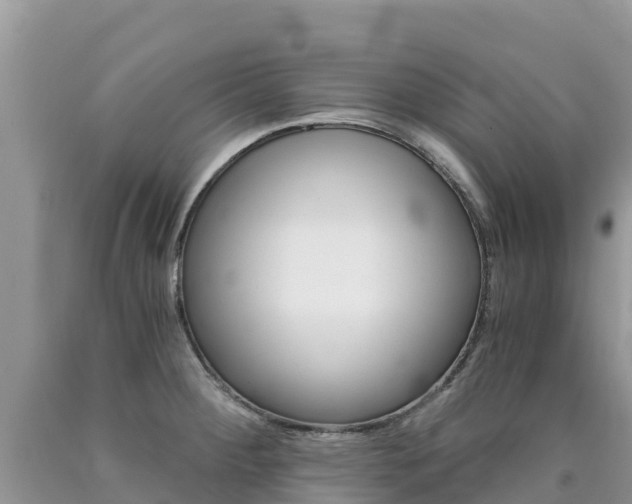 X0000090721284200707201005