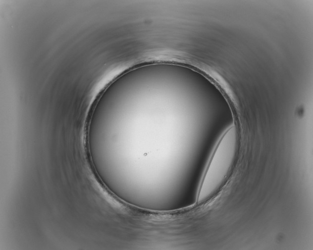 X0000090721285200707201005