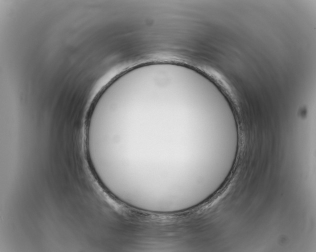 X0000090721286200707201005
