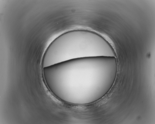X0000090721287200707201005