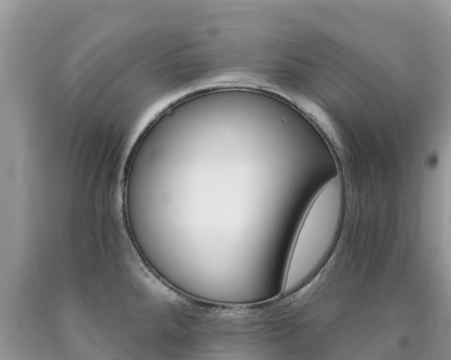 X0000090721288200707201005