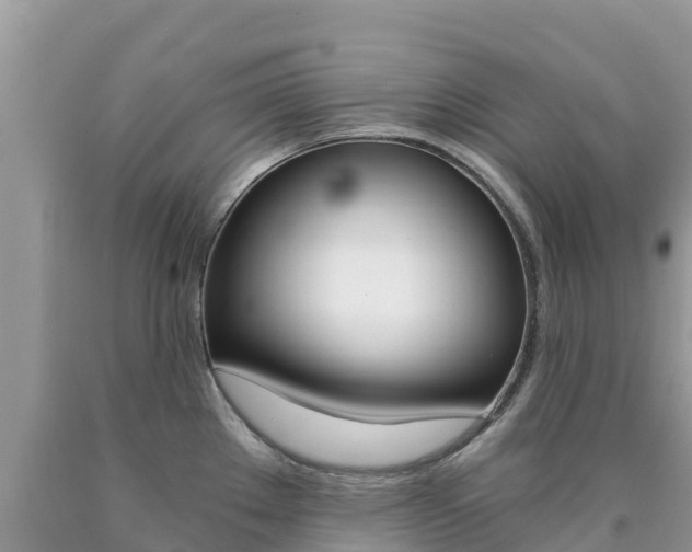 X0000090721289200707201005