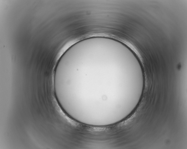 X0000090721290200707201005