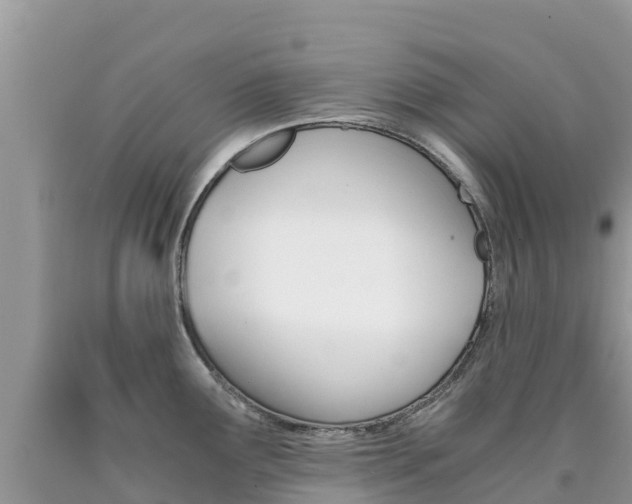 X0000090721291200707201005