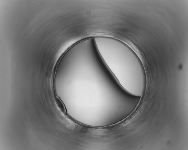 X0000090721293200707201005