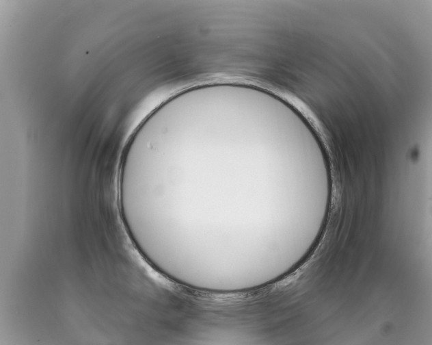 X0000090721294200707201005