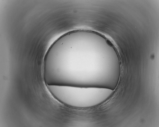 X0000090721295200707201005