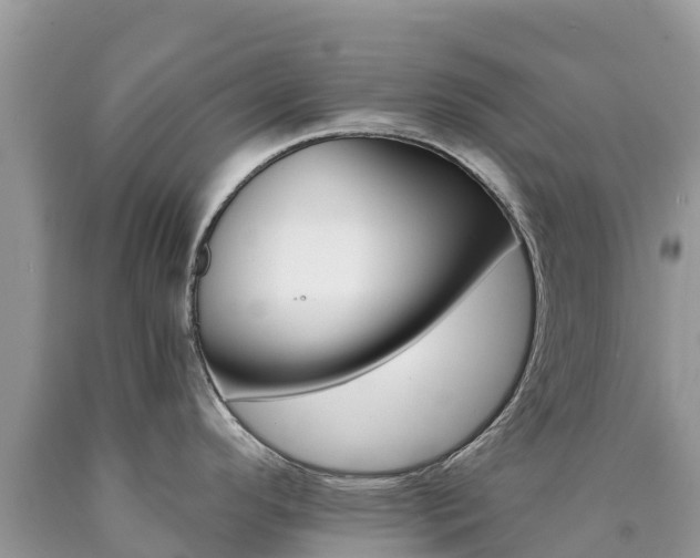 X0000090721296200707201005