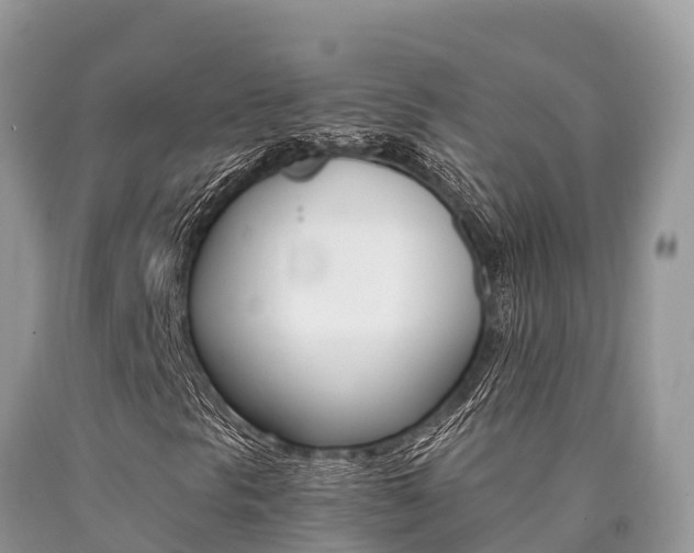 X0000090721297200707201005