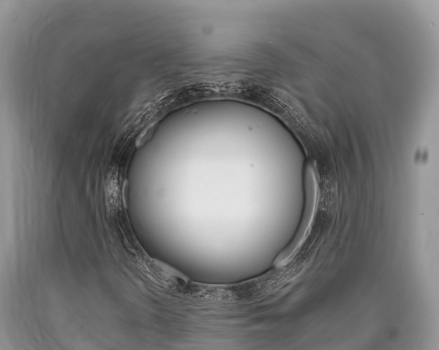 X0000090721298200707201005