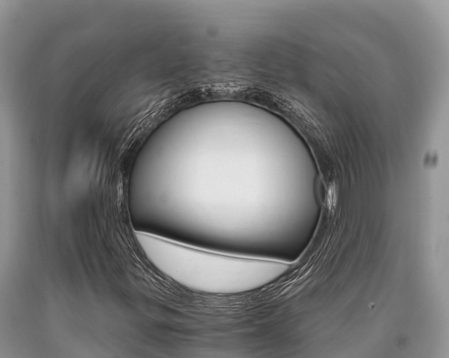 X0000090721299200707201005