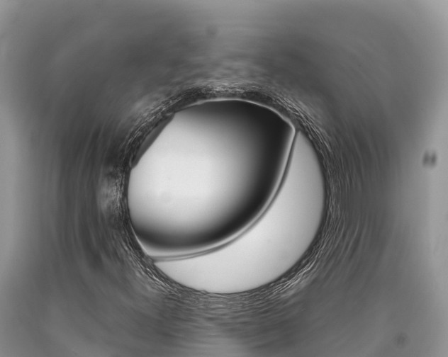 X0000090721300200707201005