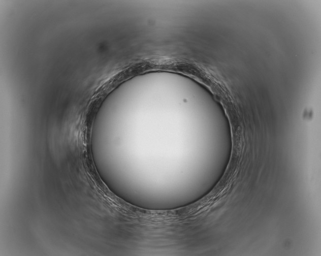 X0000090721301200707201005