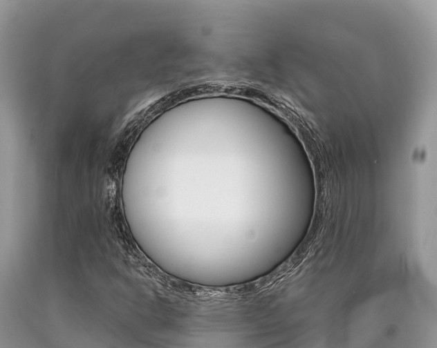 X0000090721302200707201005