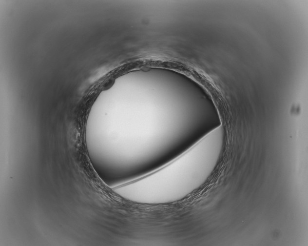 X0000090721303200707201005